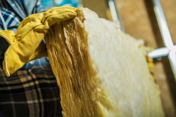 Best Garage Insulation Installation  in Macarthur, WV
