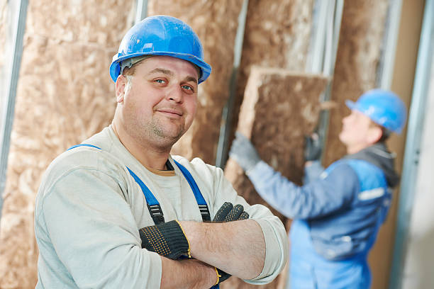 Best Insulation Inspection Services  in Macarthur, WV