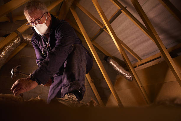 Best Best Insulation Companies  in Macarthur, WV